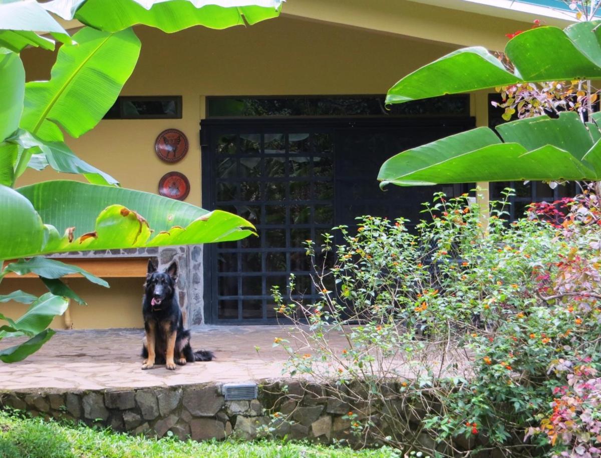 Pura Vida Hotel Alajuela Exterior photo